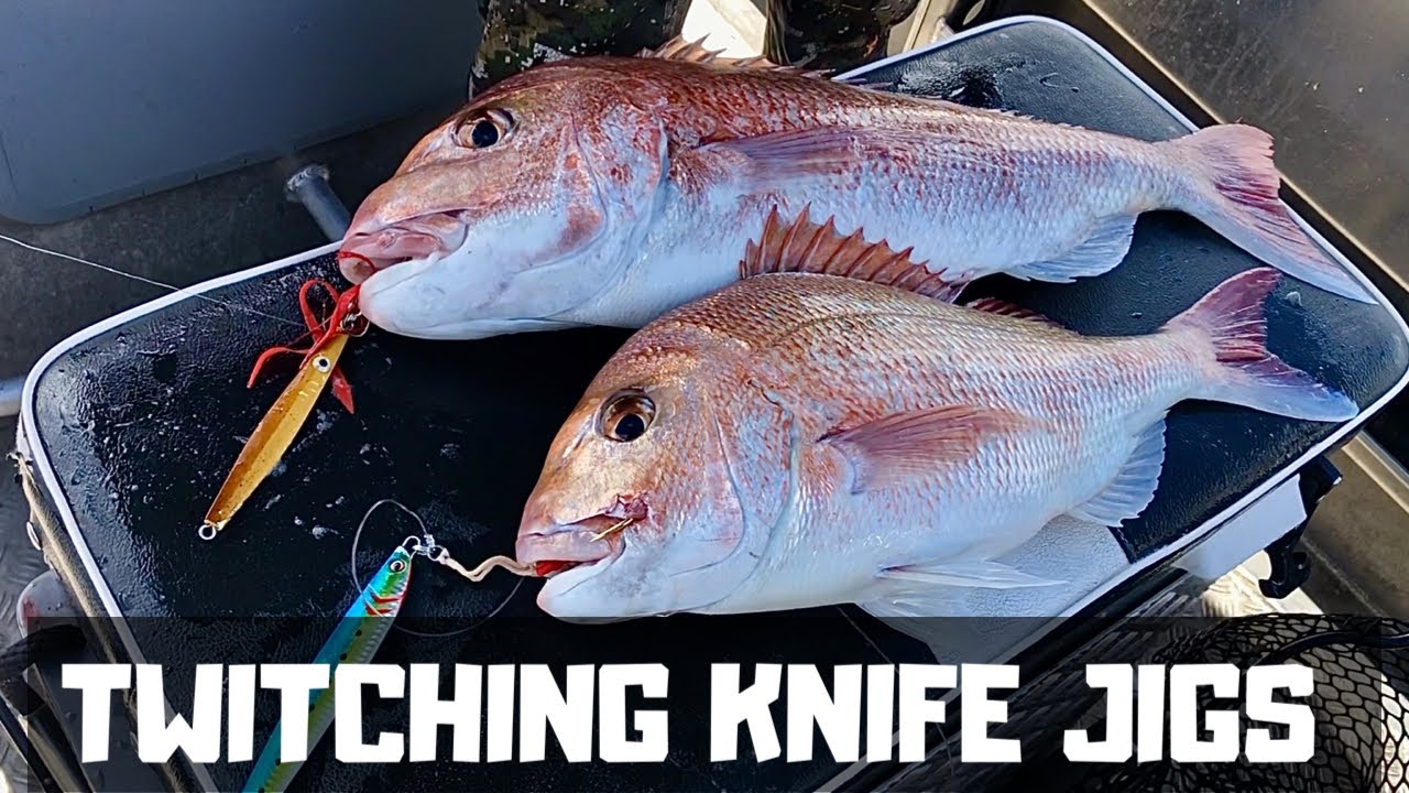 Twitching KNIFE jigs for SNAPPER | SUSTANIABLE FISHING |