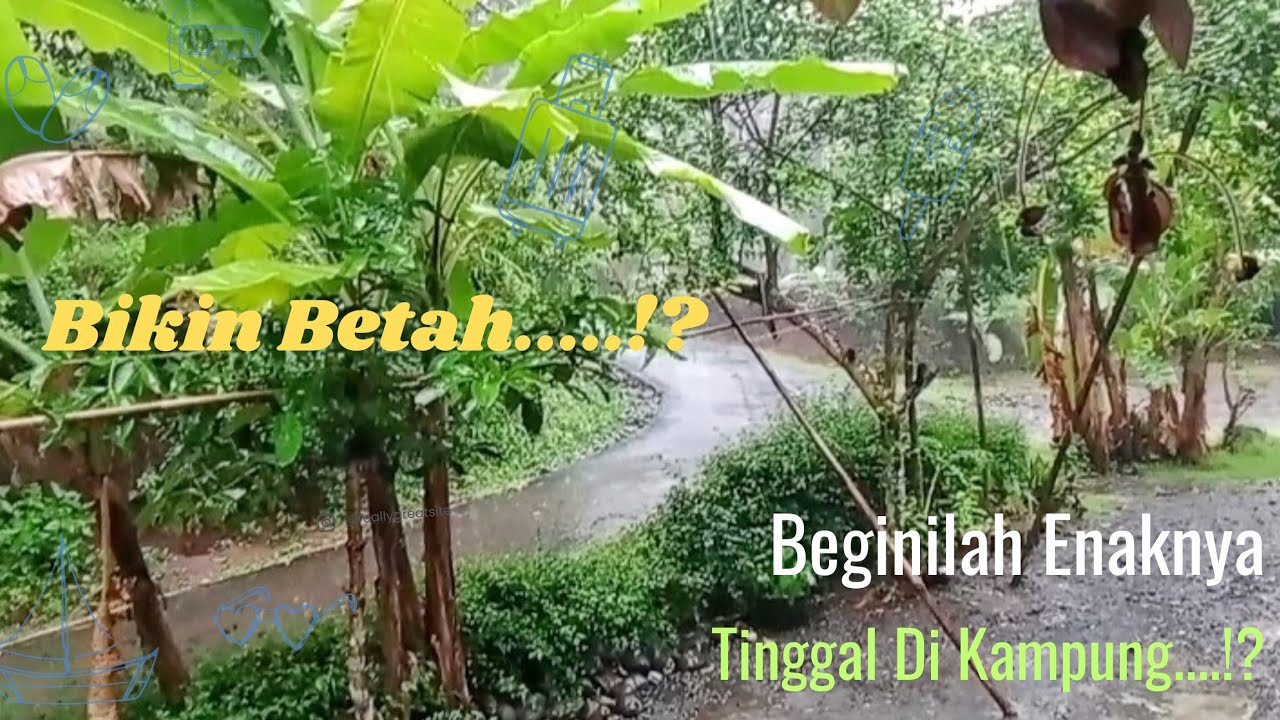 Beginilah Enak Nya Tinggal Di Kampung...!?     Melihat Bocah Maen Hujan@Bangudin-79