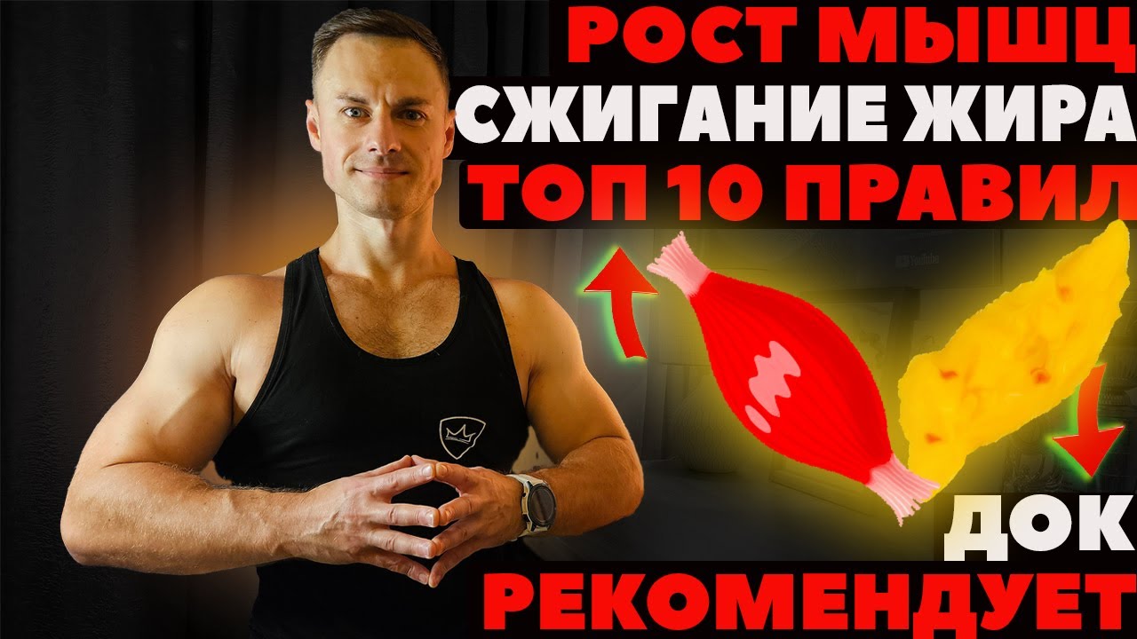Набрать мышцы и сжечь жир. ТОП 10 правил. ДОК рекомендует.