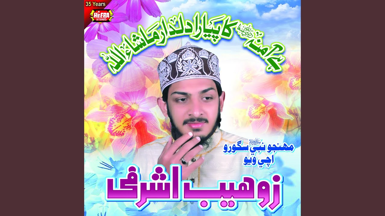 Munhanjo Nabi Sagoro