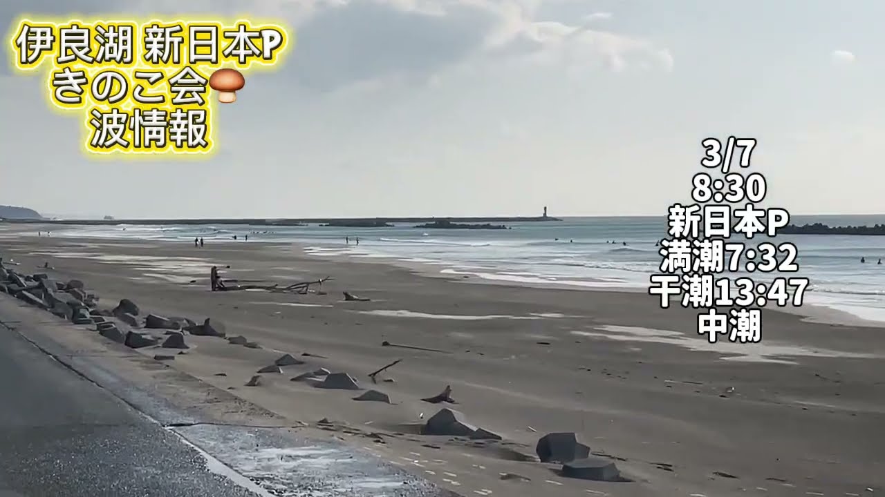 3/7 8:30  新日本P【伊良湖波情報】2026年