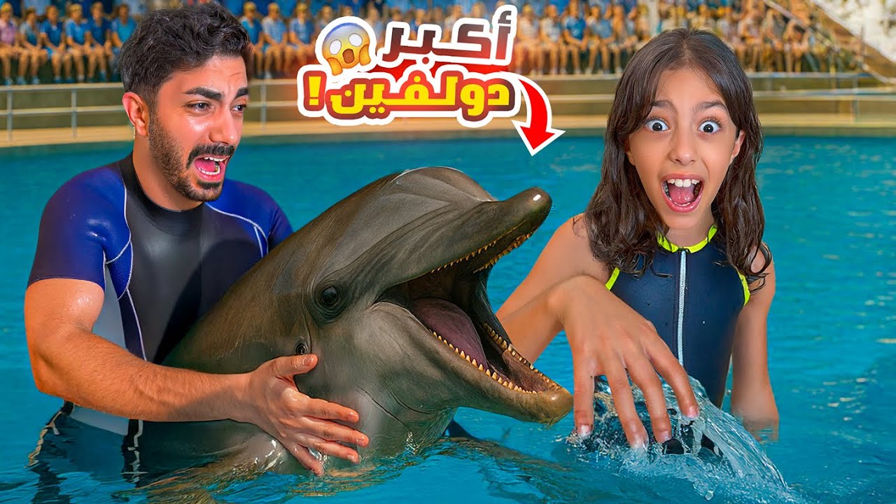 تيما و رضا شافوا أكبر دولفين بجورجيا 😱 