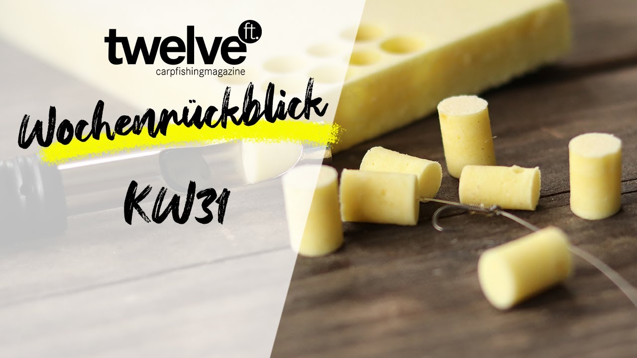 12ft Mag Wochenr&uuml;ckblick KW31 | Angeln in Mecklenburg | Prologic | Karpfenangeln an der Oberfl&auml;che