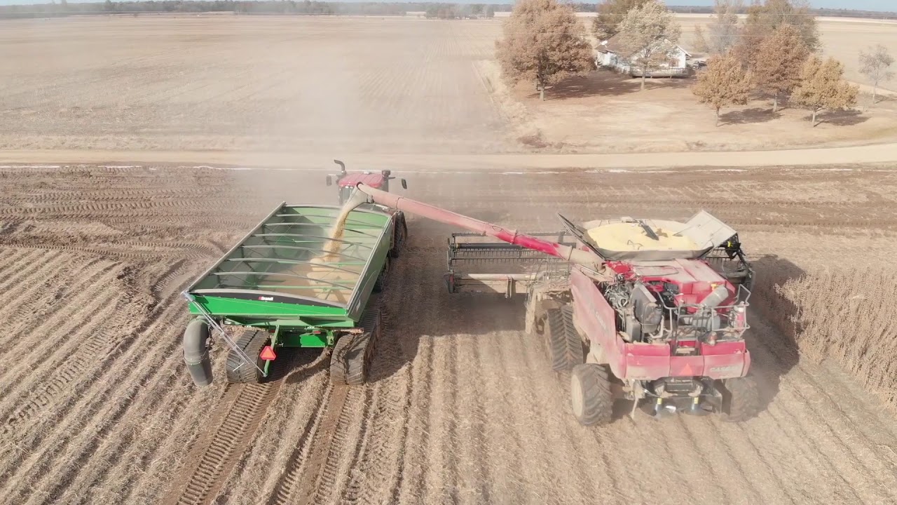 Brandt Agricultural Products | XT Grain Carts