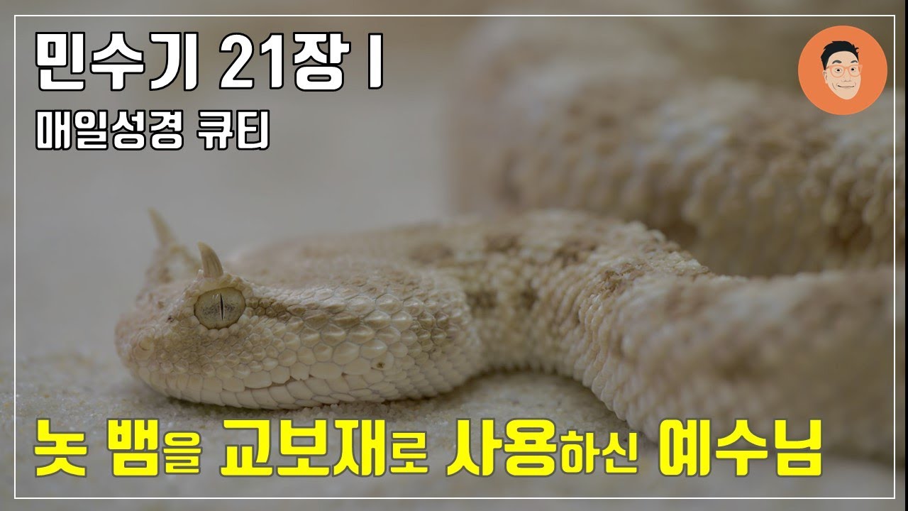 [#매일성경큐티] ㅣ 5월 1일 (월)ㅣ#민수기21장 1-20 