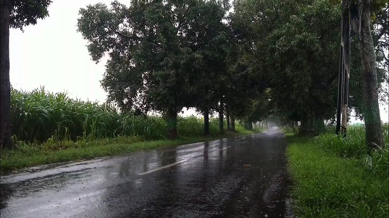 Heavy rain sounds 1 hour - heavy rain sounds nature - heavy rain sounds for sleep 1 hour