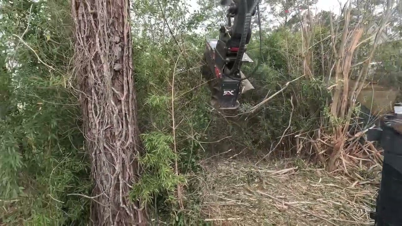 Shearex VM-35SK mulching bamboo part 1