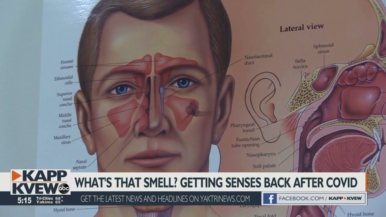 Richland doctor helping COVID-19 patients recover from parosmia