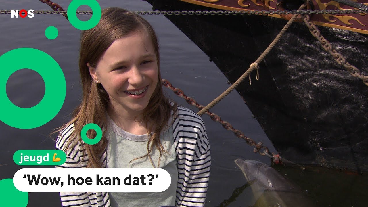 Dolfijn blijft in de buurt van Lieve