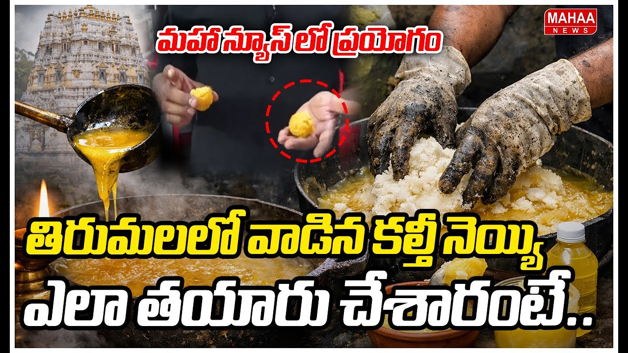 తిరుమలలో వాడిన కల్తీ నెయ్యి ఎలా తయారు చేశారంటే..మహా న్యూస్ లో ప్రయోగం | Mahaa News
