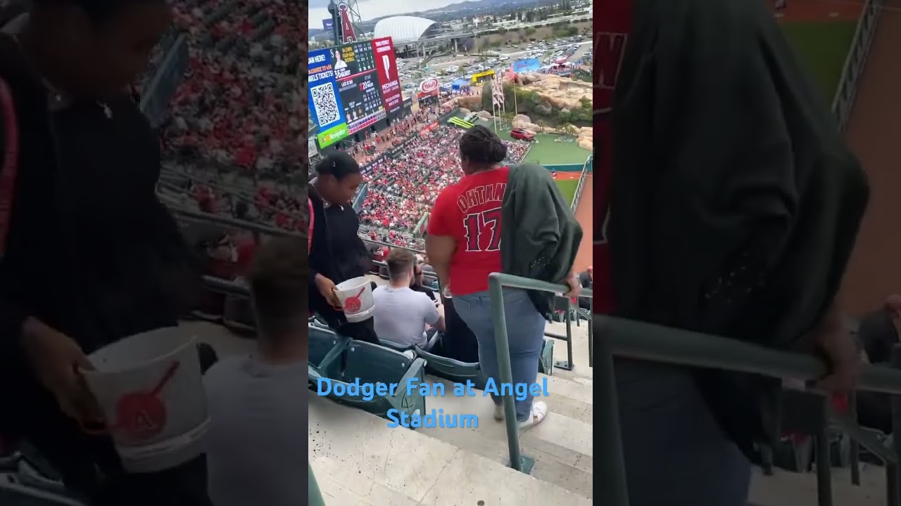 Dodger fan attacks Angel fans .