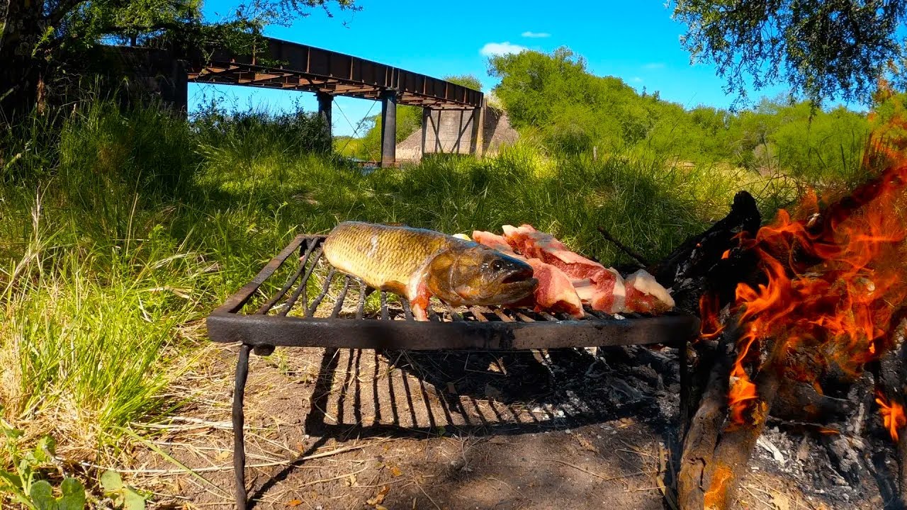 Increíble el PIQUE de TARARIRAS en esta Laguna, PESCA y COCINA de Tarucha y Asado, Pesca de Barrio