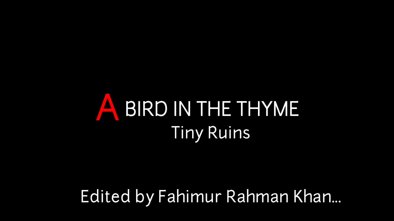 Bird in the Thyme - Tiny Ruins (With lyrics)