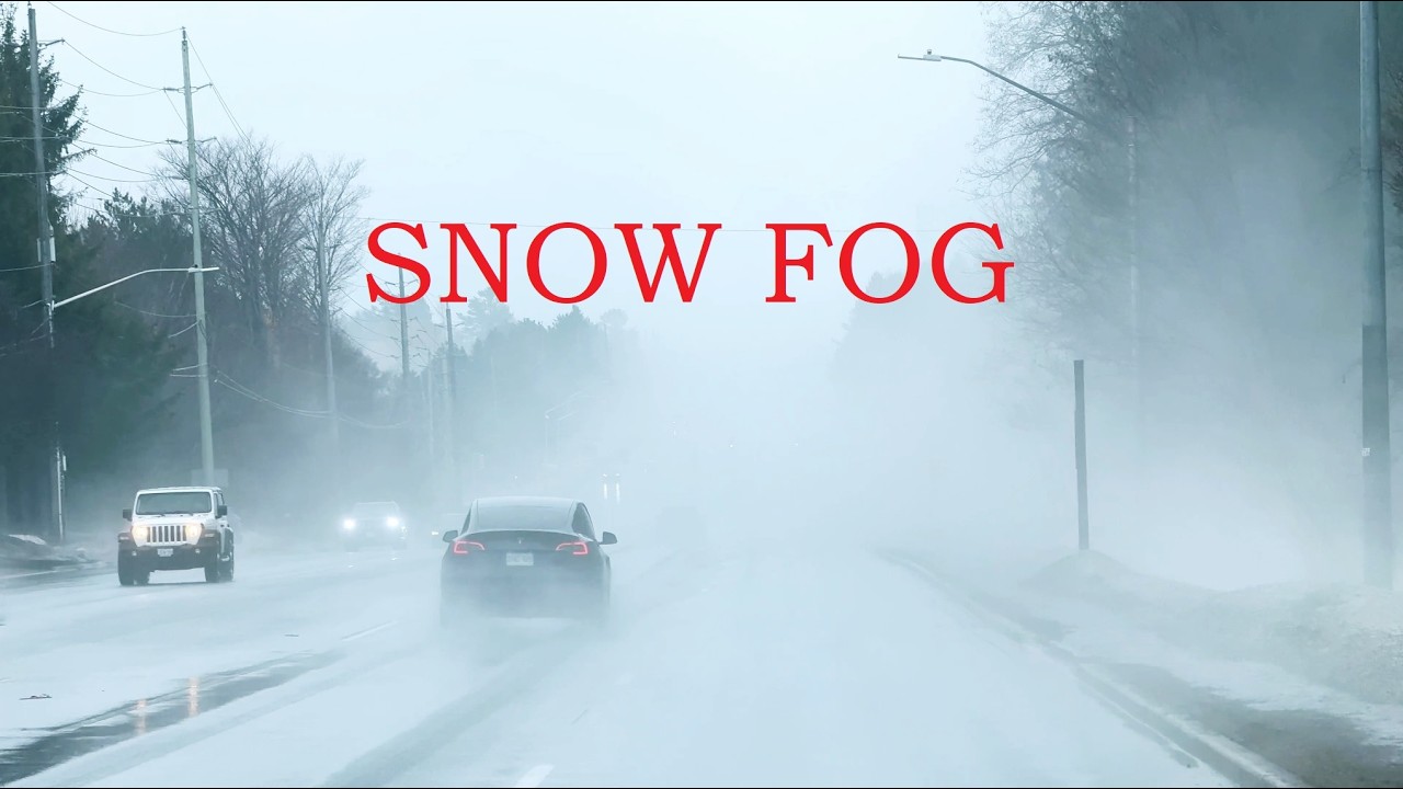 Snow Eating Fog in Southern Ontario and Toronto GTA - March 2026