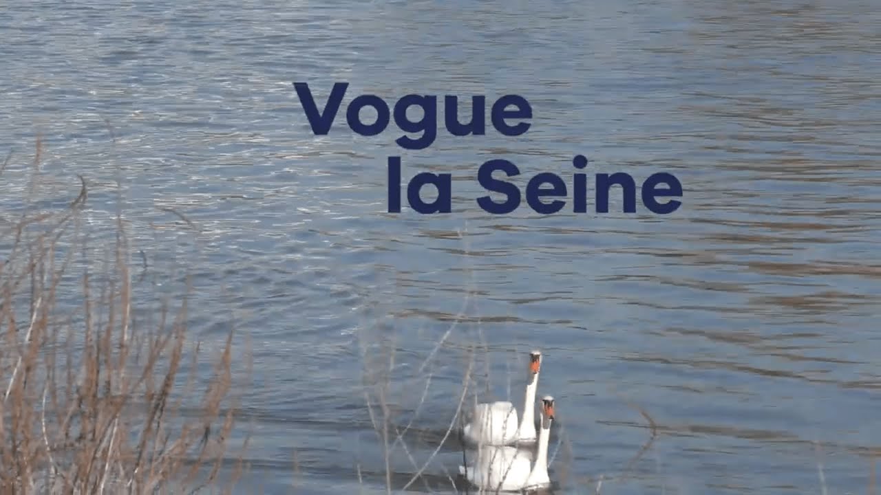 Vogue la Seine
