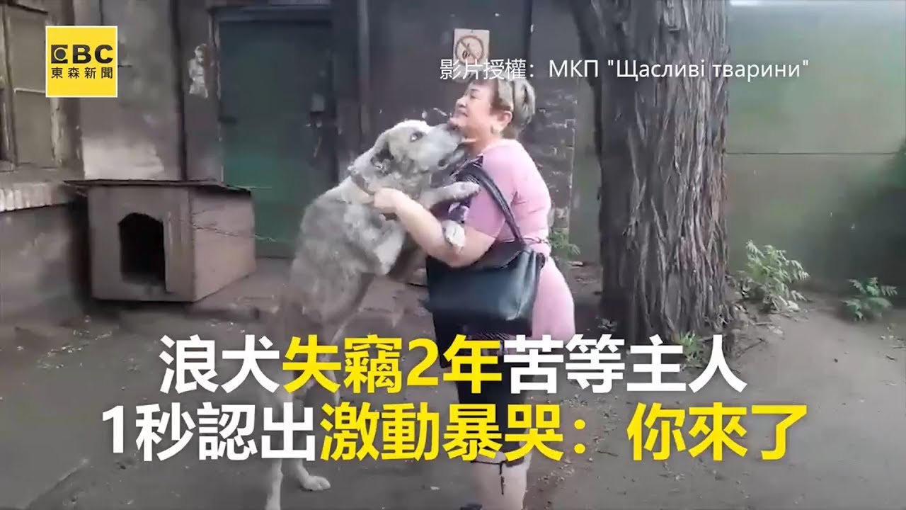 浪犬失竊2年苦等主人 1秒認出激動暴哭：你來了 @newsebc