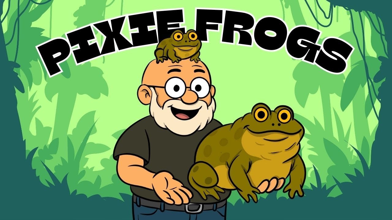 The Mighty Pixie Frog! 🐸💥