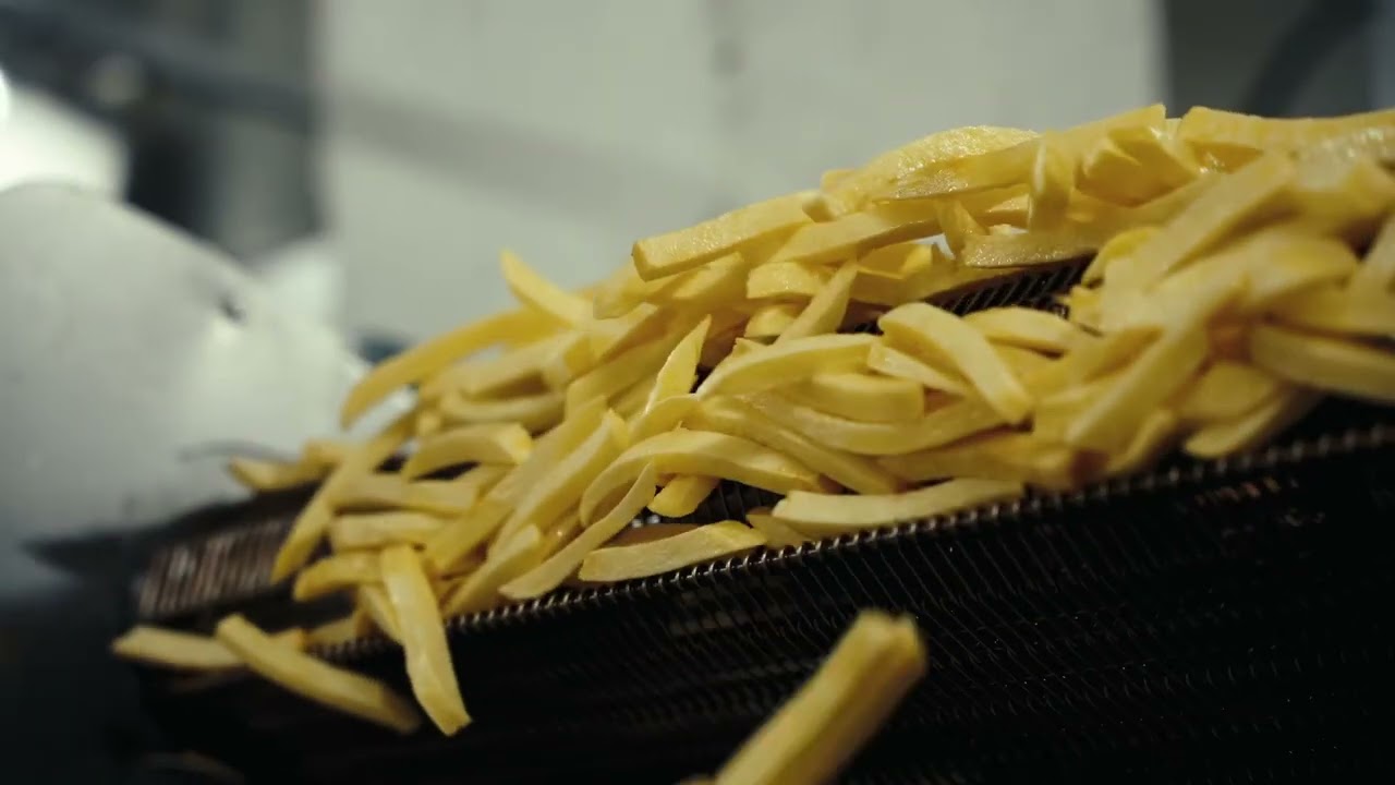 FRENCH FRIES FACTORY LITHUANIAN ( DONDURULMUŞ PATATES &Uuml;RETİM TESİSİ - LİTVANYA ) 