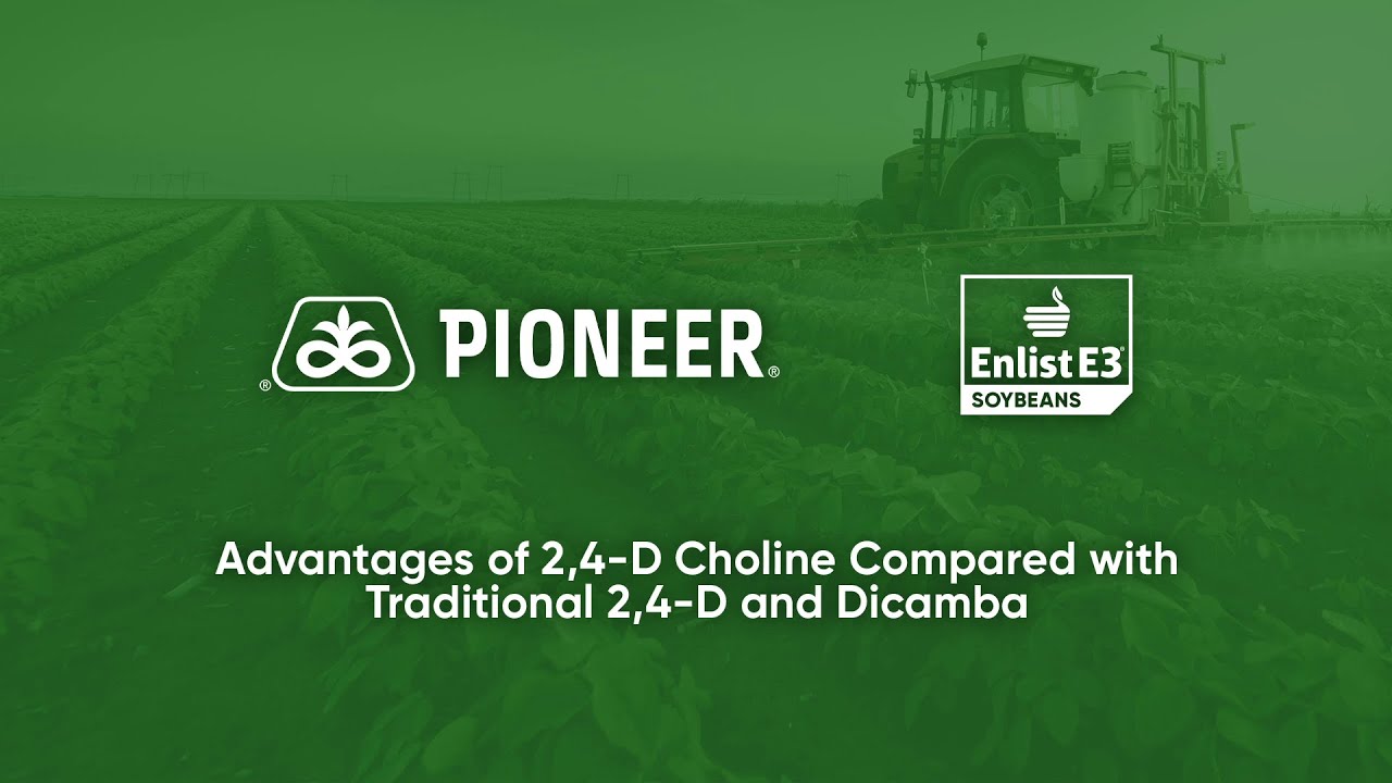 Advantages of 2,4-D Choline Compared with Traditional 2,4-D and Dicamba