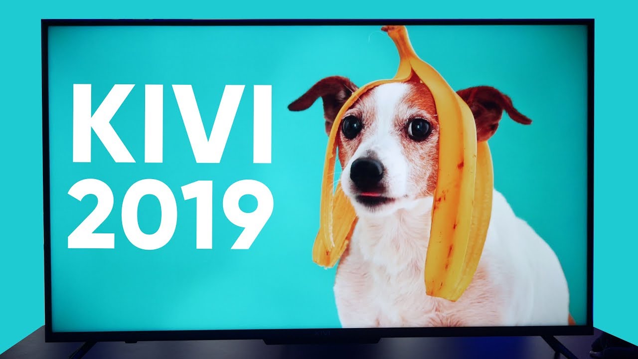 Kivi 2019