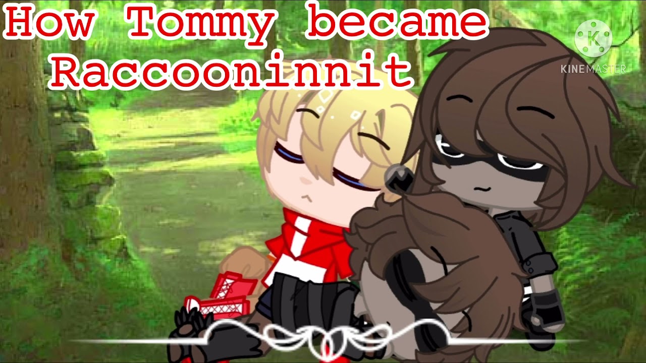 How Tommyinnit became Raccooninnit | part of my Blindinnit AU | 300 sub special