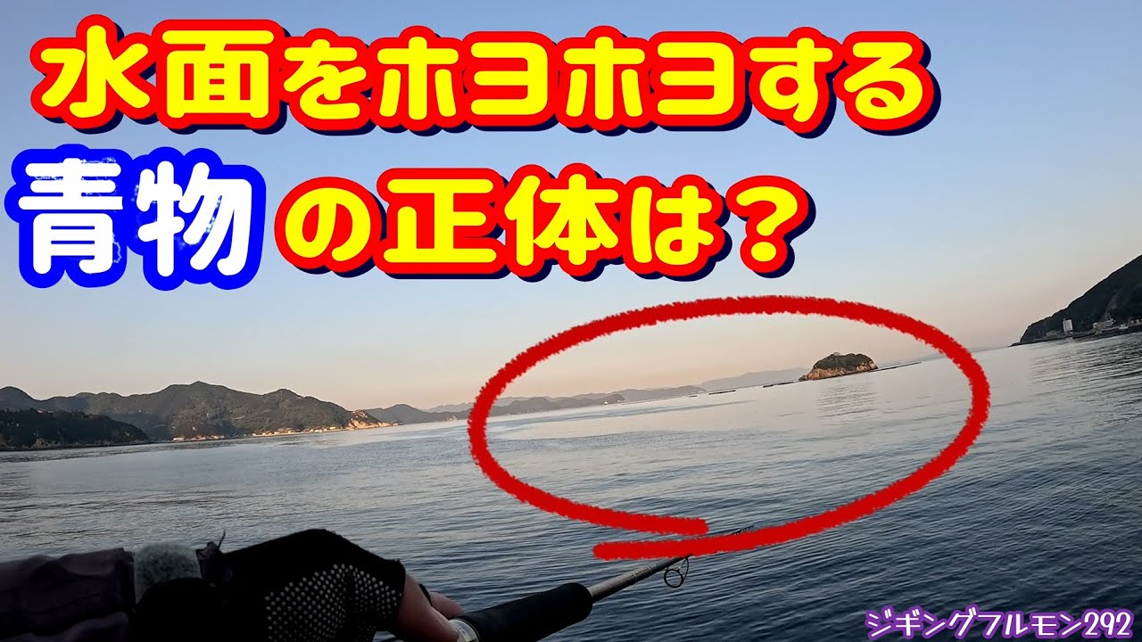青物が水面をホヨホヨ回遊する？【ショアジギング】ジギングフルモン292