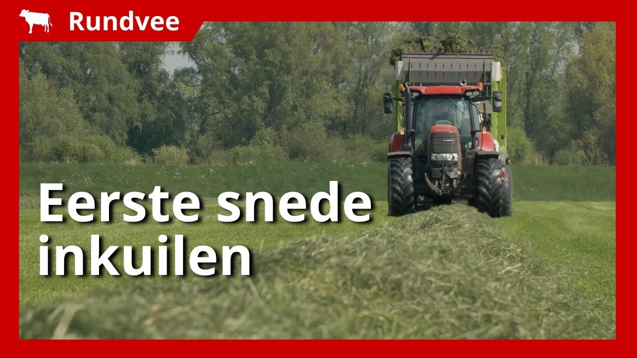 60 hectare eerste snede gras ingekuild