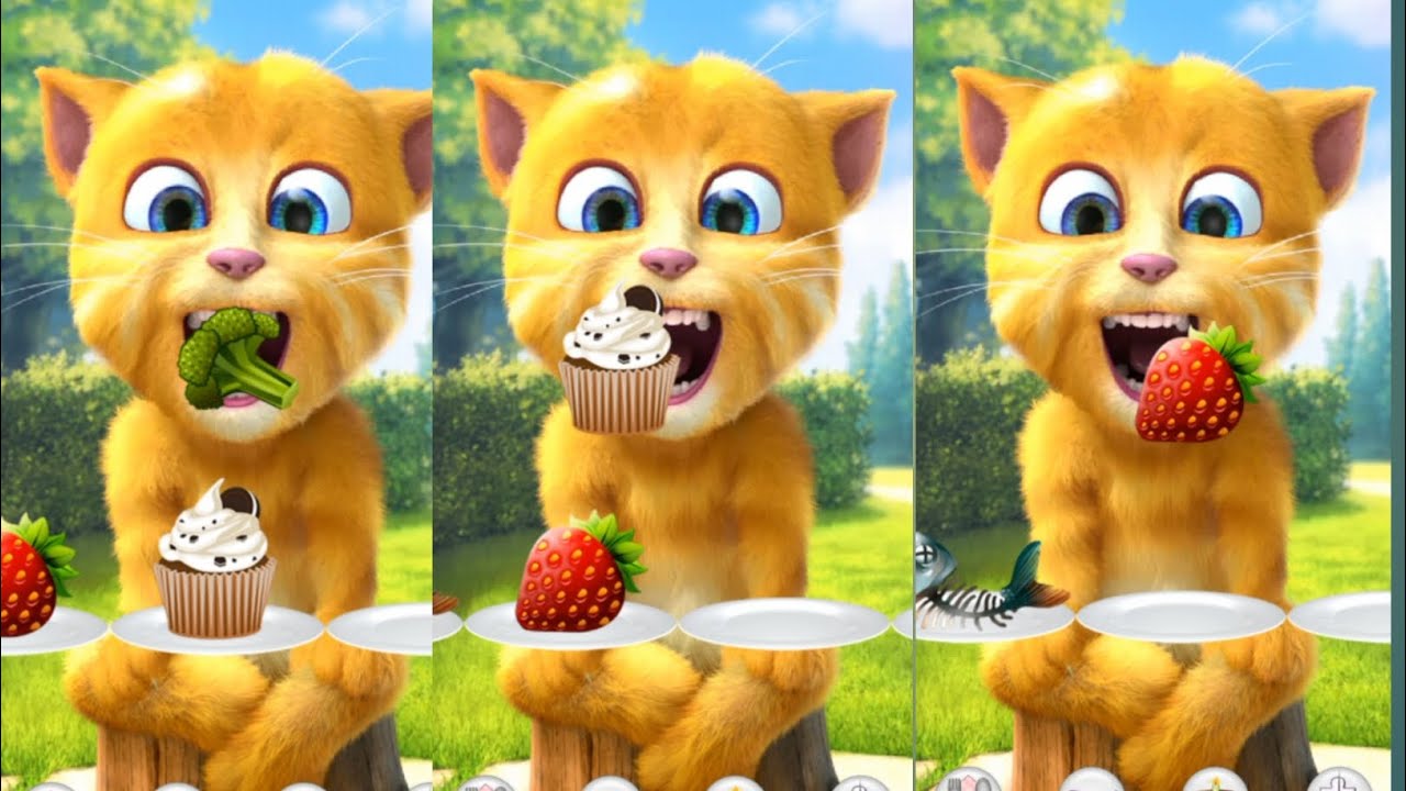 🧺😄 Ginger Tries a Simple Routine! 🐱✨