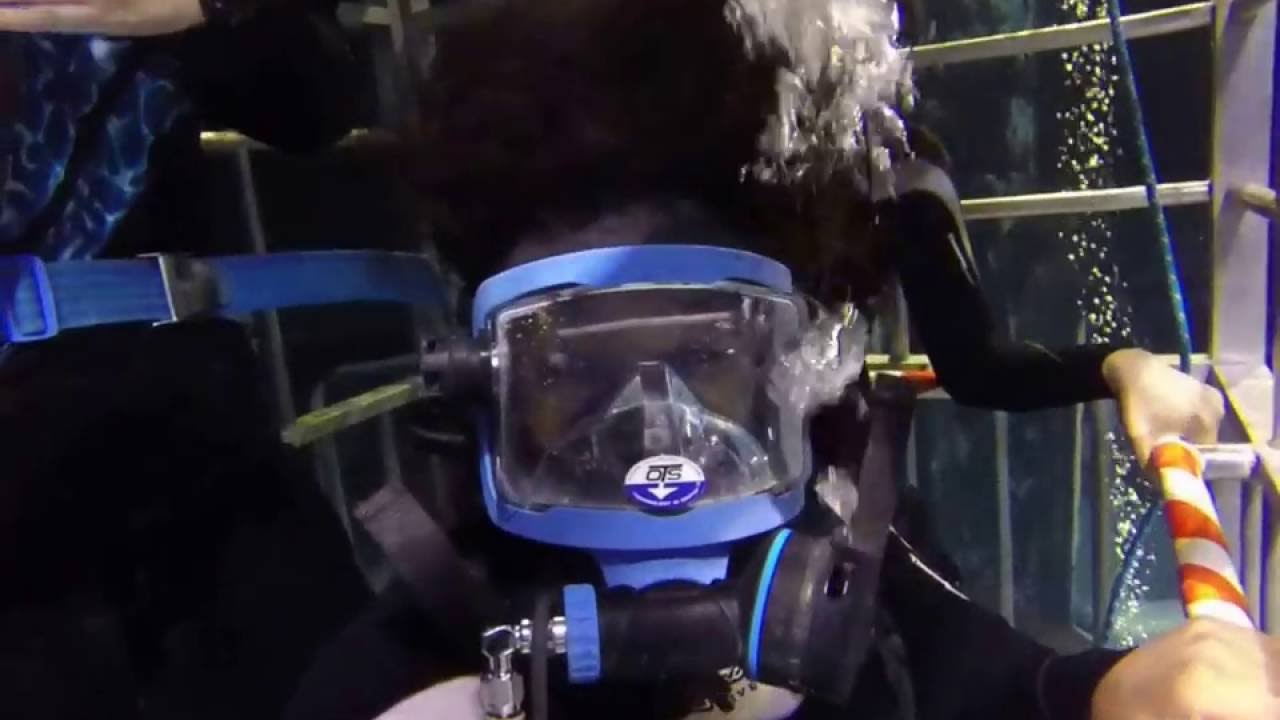 Shark Diving at the Long Island Aquarium in Riverhead