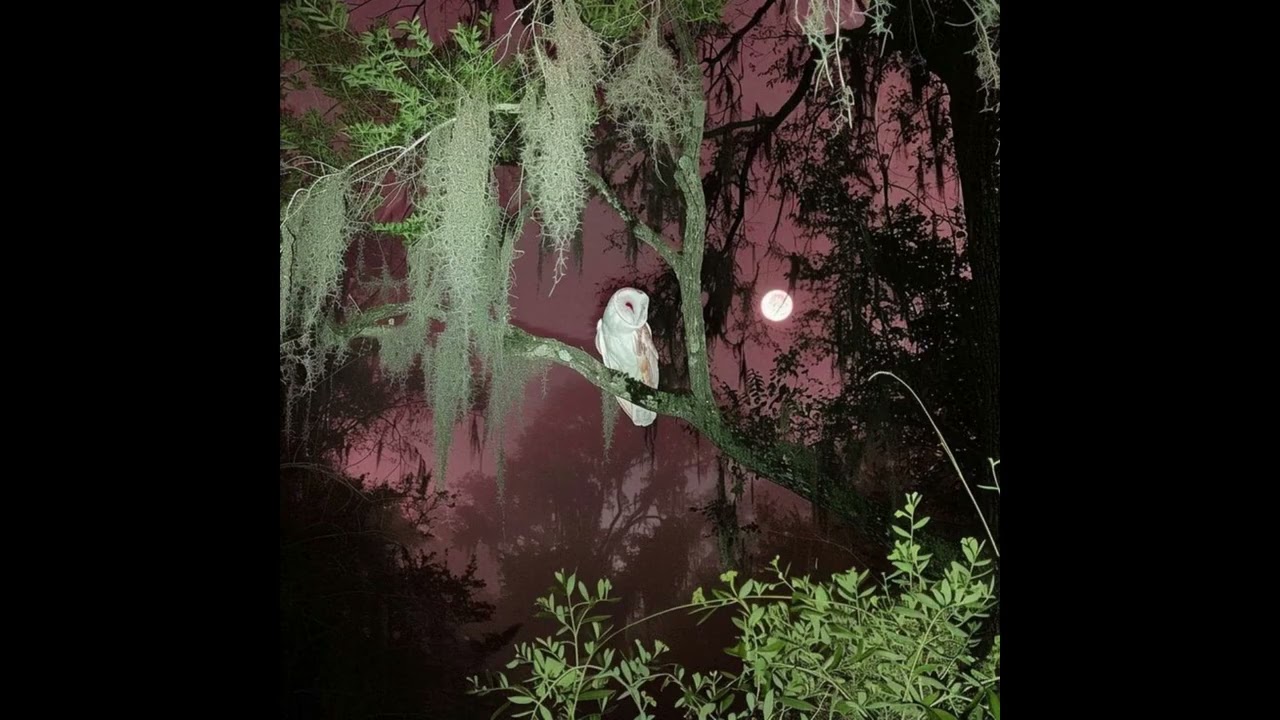 [FREE] FEMTOGO TYPE BEAT ~ CHASSEUR