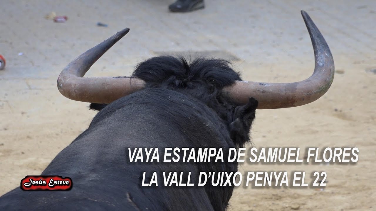 LA VALL D'UIXO TORO DE SAMUEL FLORES PENYA EL 22 11 04 2018