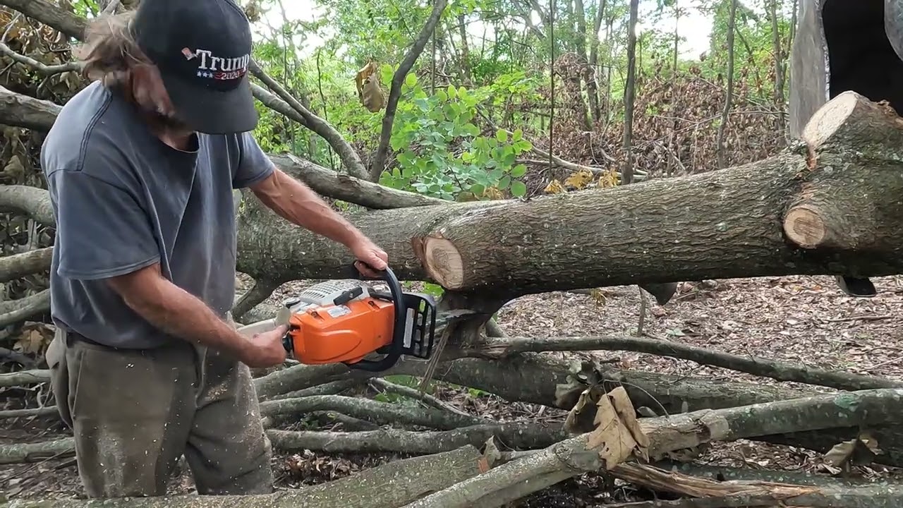 Harvesting Tree Tops For Firewood