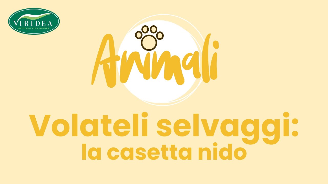 LA CASETTA NIDO PER I VOLATILI SELVATICI
