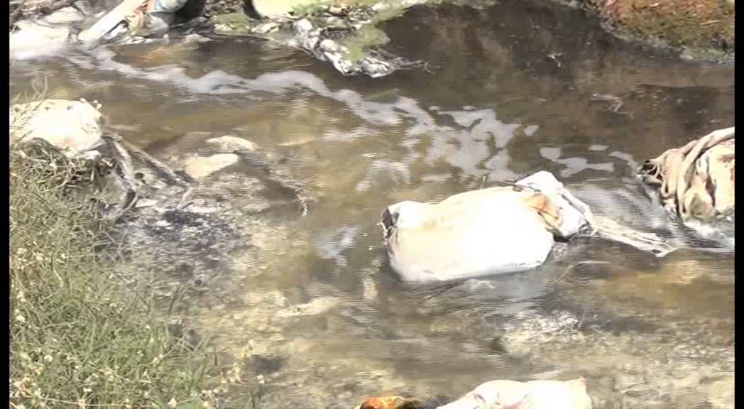 Restoring Arekere lake.