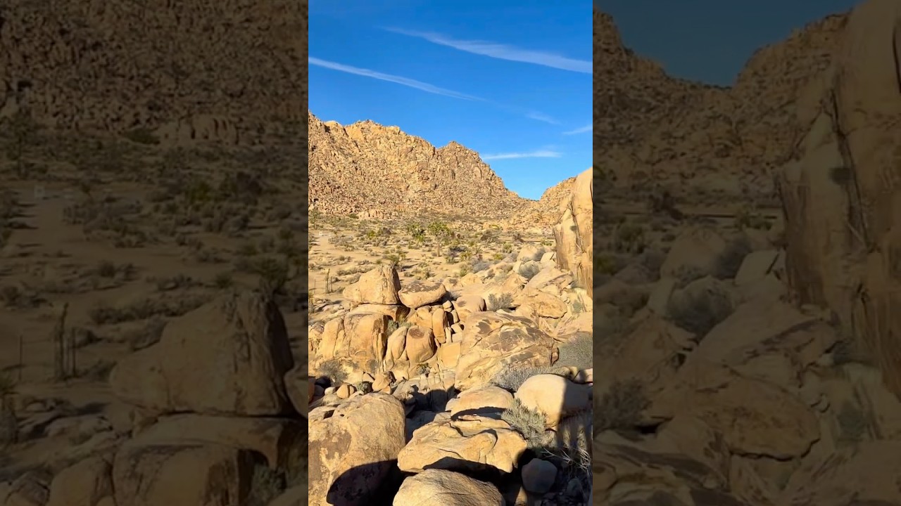 Desert Daydreams Joshua Tree National Park #joshuatree #california  #desertviews #coldplay