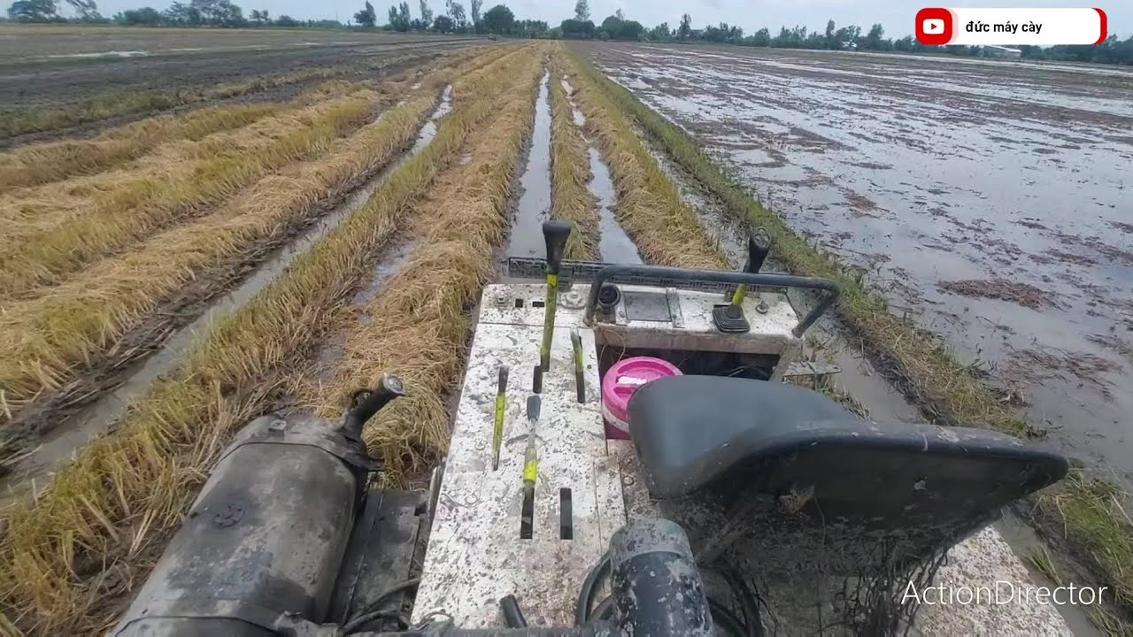 máy xới bánh xích yanmar 82 xới đất gơm gạ của vụ 3 2025