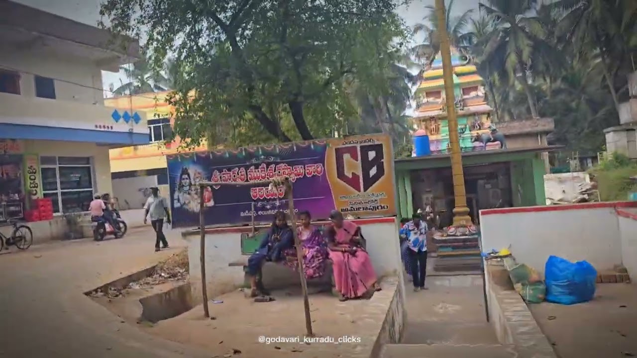 #madupalli #konaseema #palleturu #nature's 