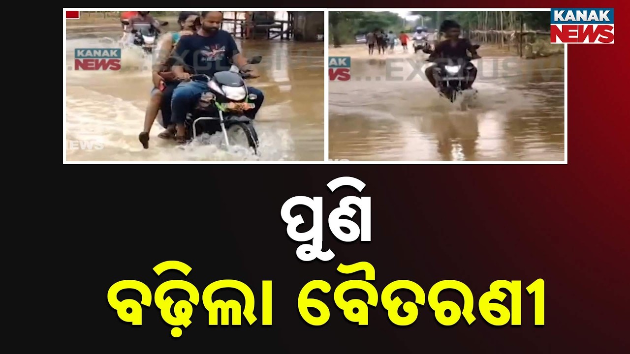 ପୁଣି ବଢ଼ିଲା ବୈତରଣୀ | Baitarani River Water Level Rises Again | Flood Threat Grows in Bhadrak