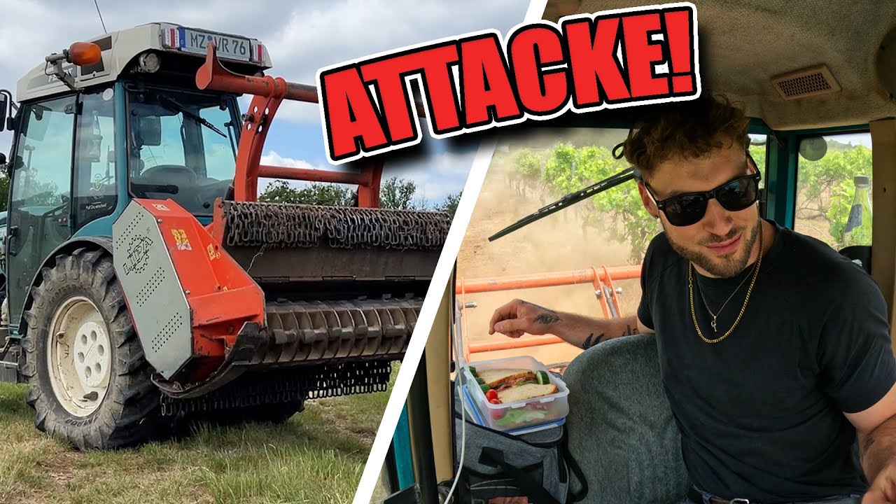 STAUB ernten 💨 Forstmulcher EINSATZ 🚜🪵🌳| Weinbau 🍇🍷