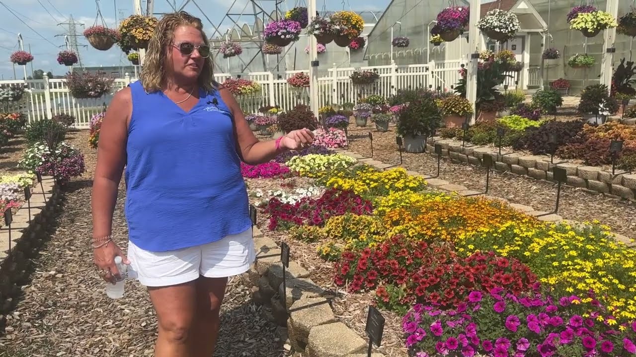 Fertilizer Comparison and New Annuals at Mast Young Plants