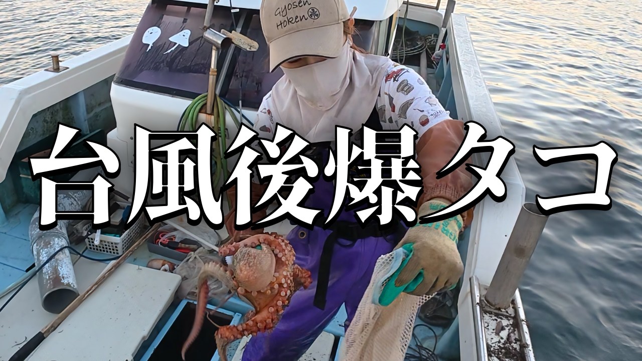 台風を耐えたカゴにタコぎっしり！