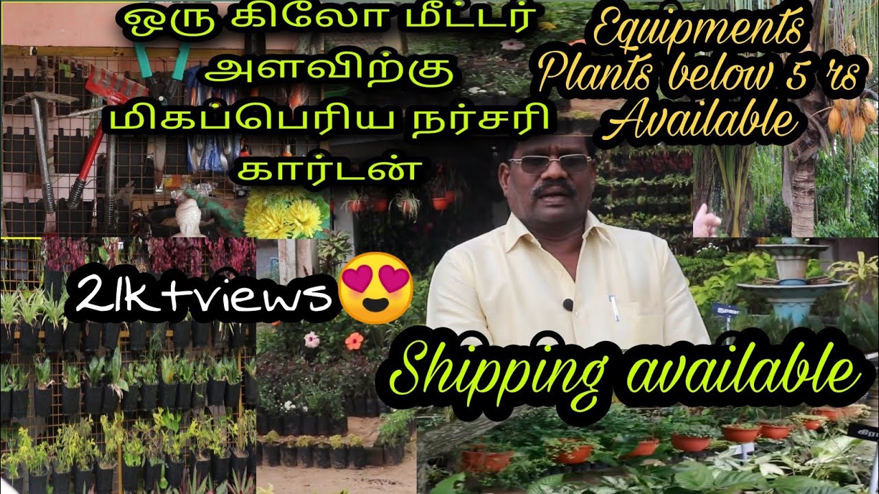 Nursery garden in tamilnadu|plants for sales | garden equipments|delivery available