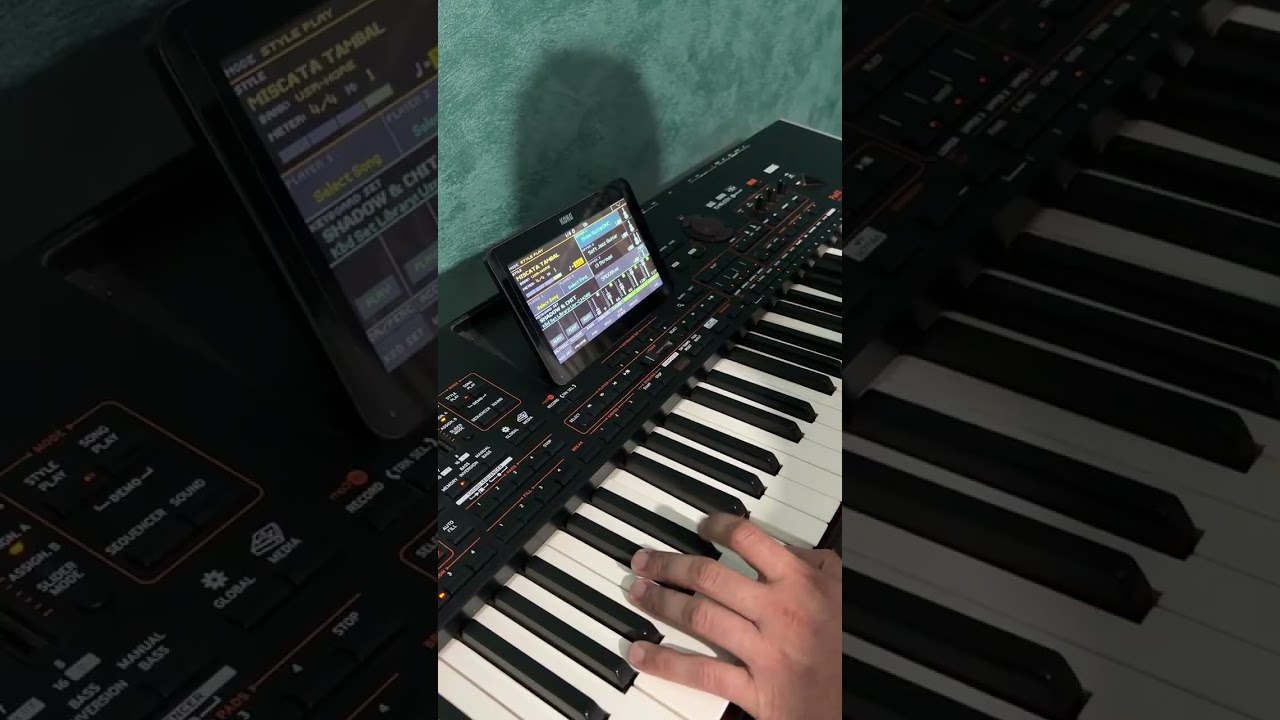 SET KORG PA3X PA4X PA5X 2025        Performante