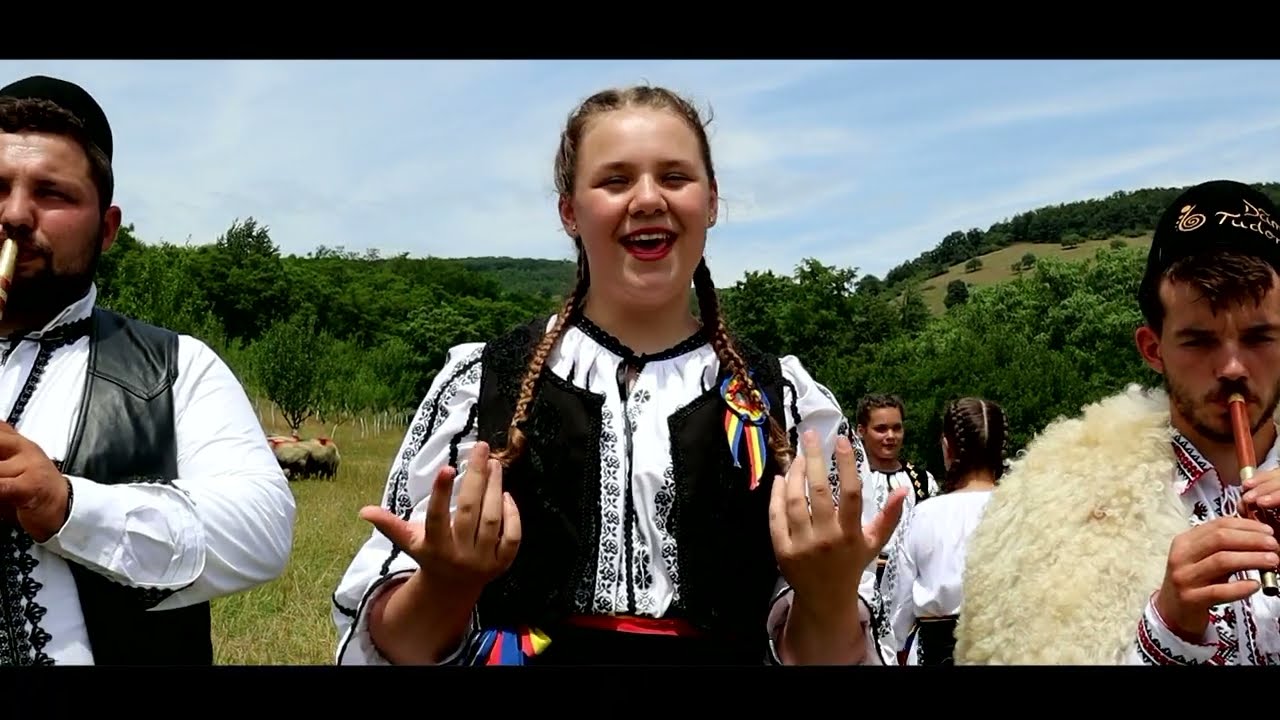 Larisa Stanca - Ciobanita-s tinerea