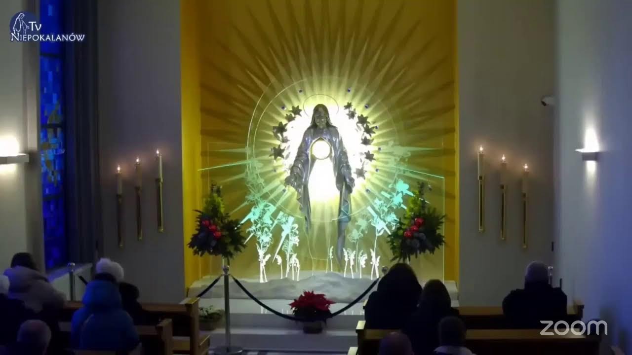 Live adoration with fr. Raphael  in the divine mercy hr day 36 of 365