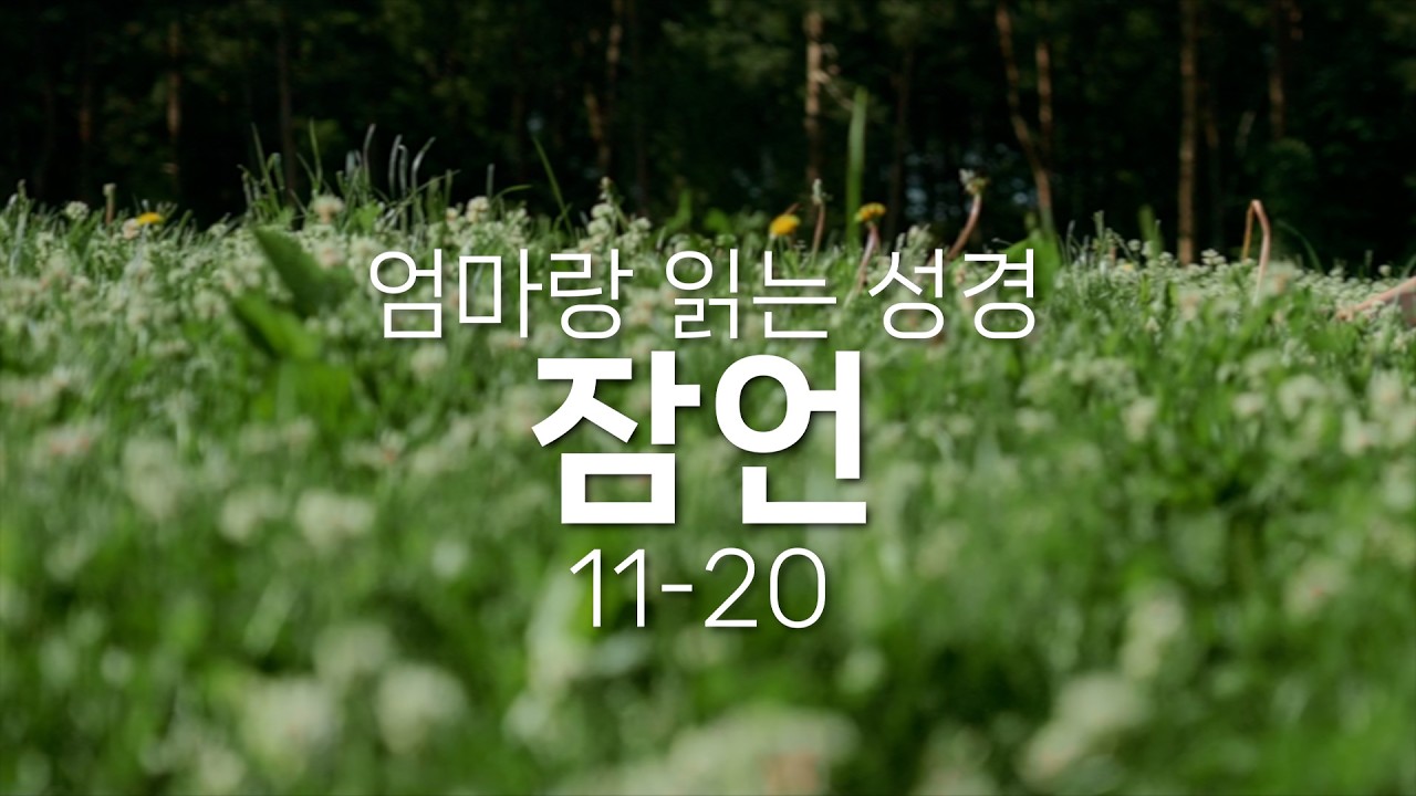 잠언 / Proverbs. / 11-20장. (1년 3독) 예수님의 빛