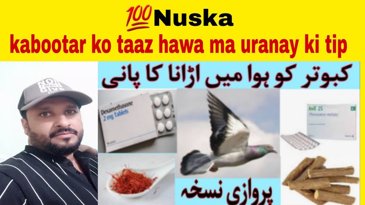 🎁nuskha.hawa ma kabootar ko urana کبوتر کو تیز ہوا میں اڑانا کا نسخہ