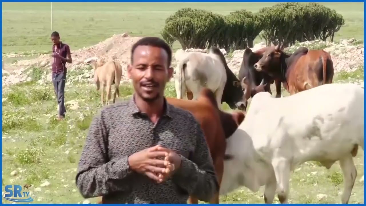 Cabdi Cumar Aleel oo kamid ah xoolo-dhaqato-beeraleyda degmada Tulli-guuled ayaa ka midho'dhaliyay