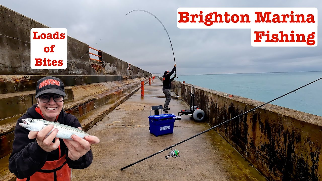 Brighton Bites: Fishing on the Marina