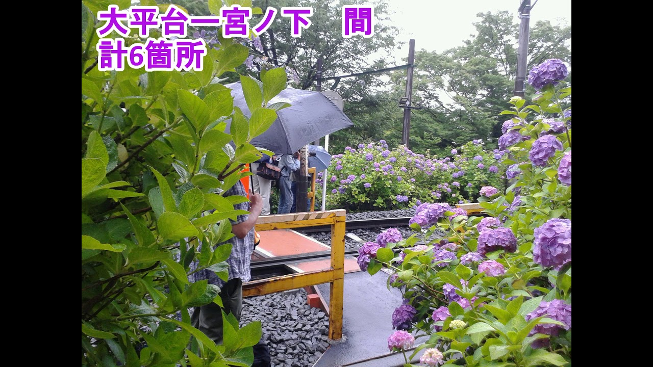 箱根登山鉄道の全ての踏切（小田原ー強羅）神奈川県